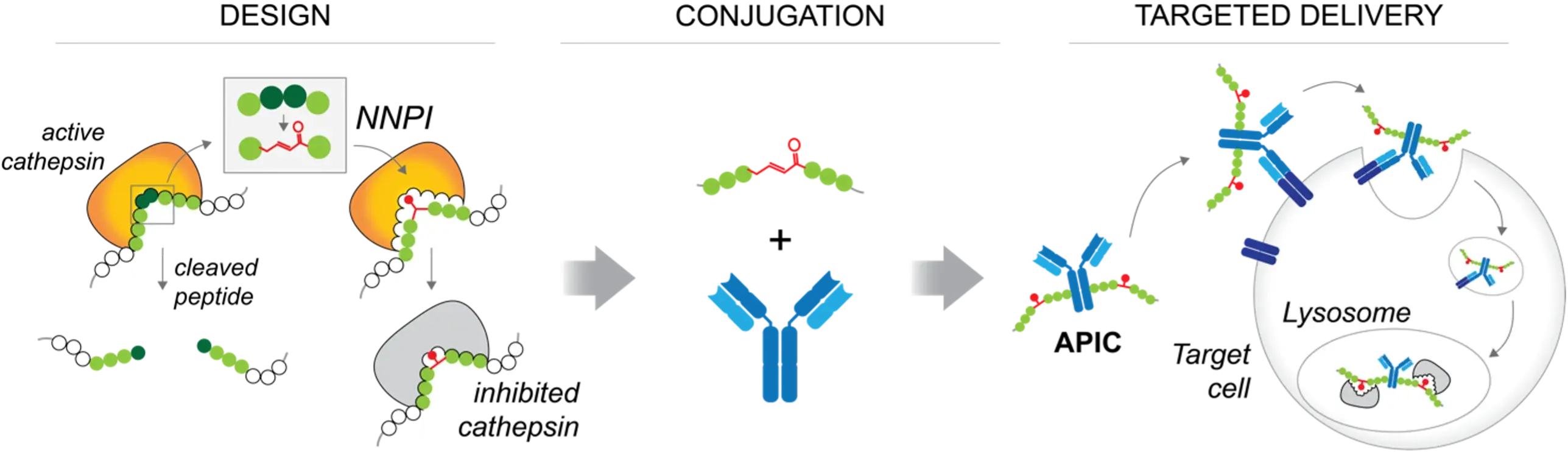APICore platform schematic